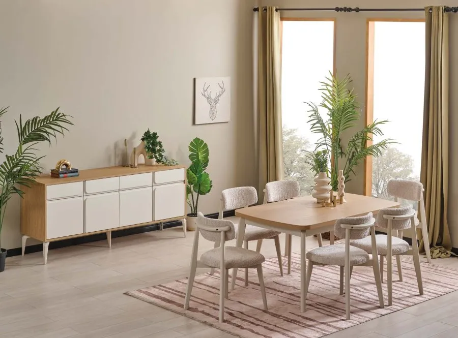 DİZAYN YEMEK ODASI TAKIMI